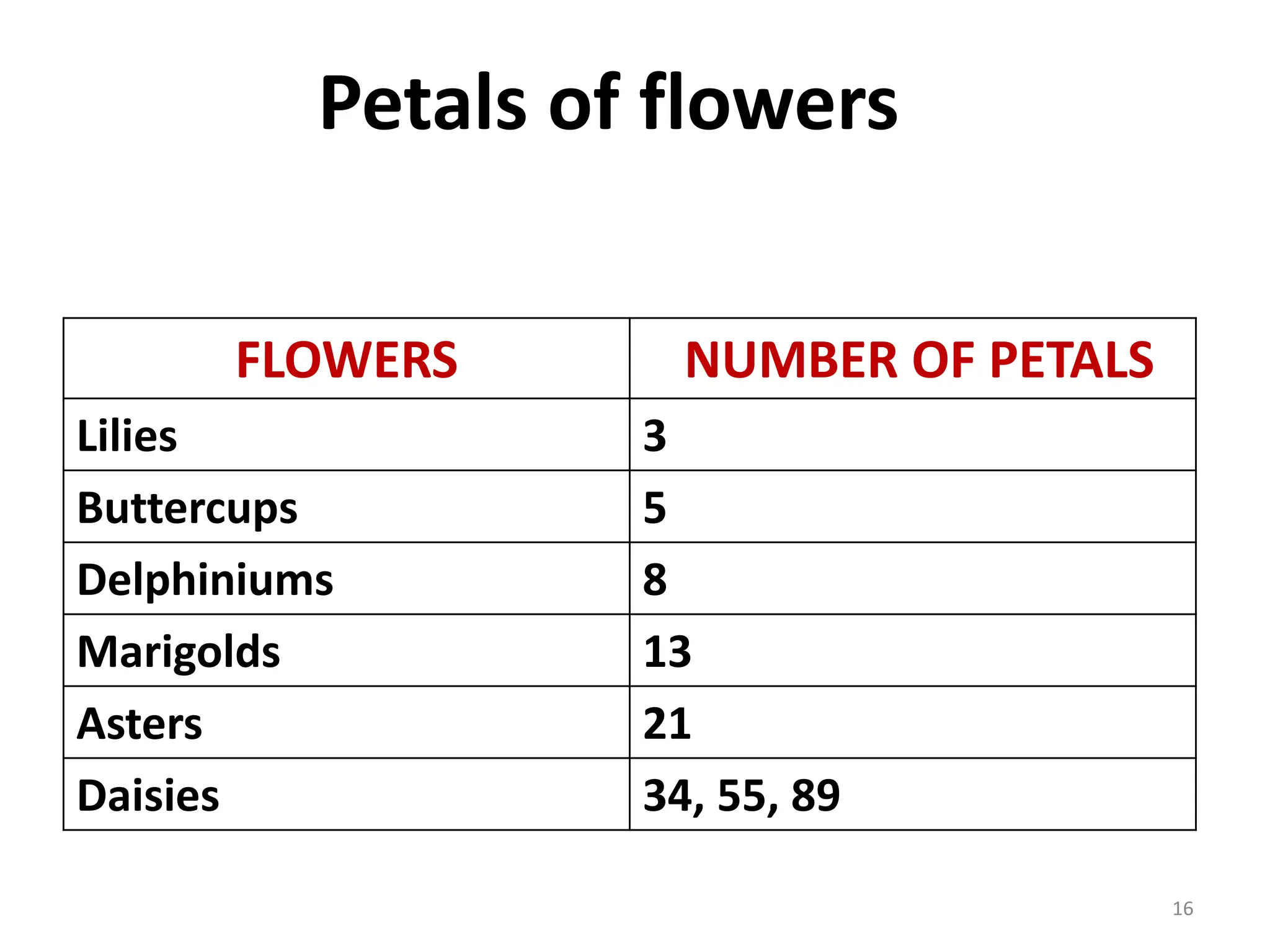 Petals of flowers
FLOWERS NUMBER OF PETALS
Lilies 3
Buttercups 5
Delphiniums 8
Marigolds 13
Asters 21
Daisies 34, 55, 89
16
 