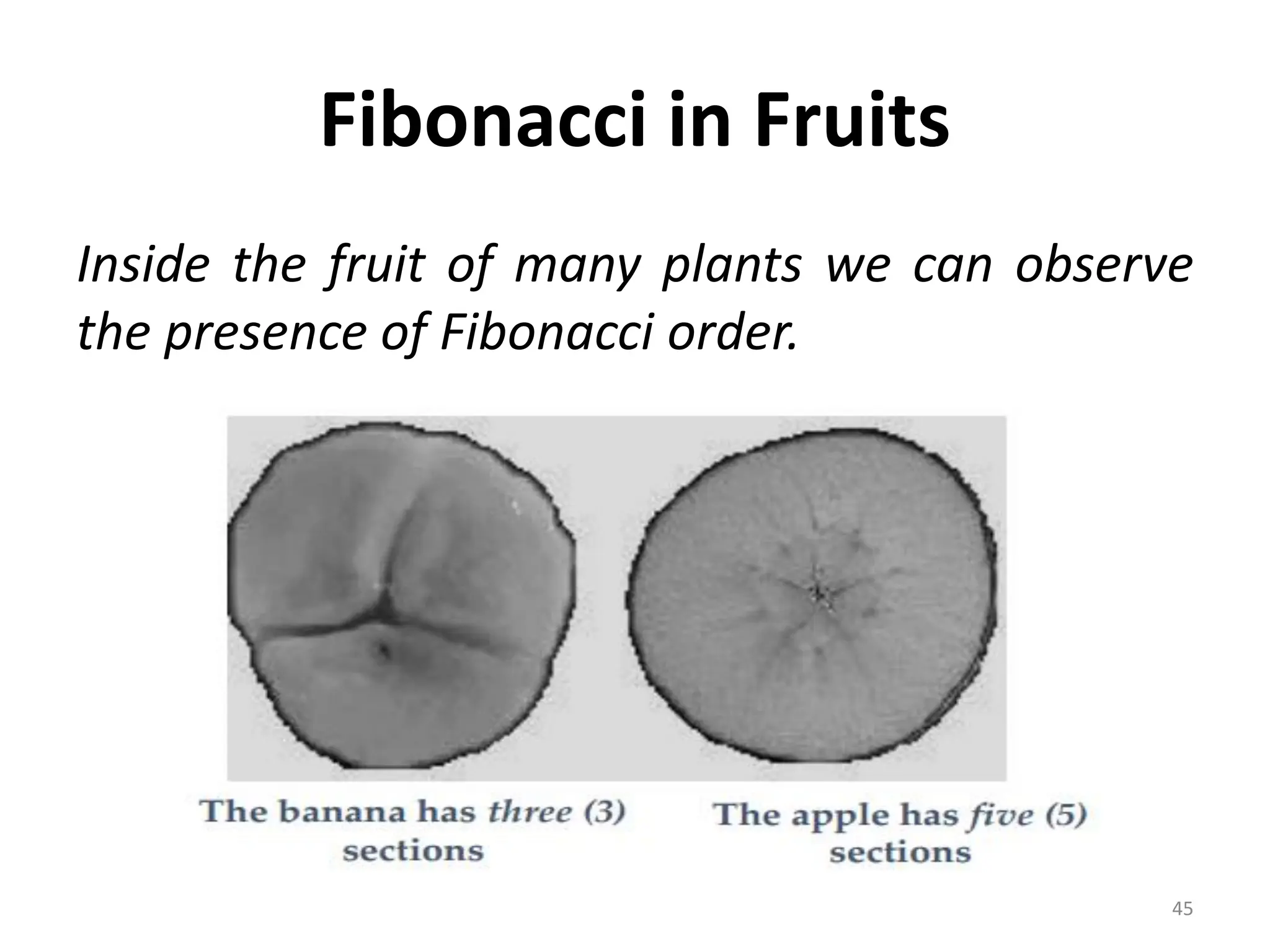 Fibonacci in Fruits
Inside the fruit of many plants we can observe
the presence of Fibonacci order.
45
 