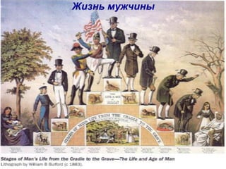 Жизнь мужчины
 