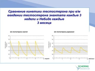 Сравнение кинетики тестостерона при в/м
введении тестостерона энантата каждые 3
недели и Небидо каждые
3 месяца
в/м тестостерона энантат в/м тестостерона ундеканоат
недели месяцы
 