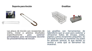 Soporte para tinción
Las placas de tinción son recipientes de
vidrio, metal o plástico diseñados
específicamente para sostener
portaobjetos para microscopio durante
los procedimientos de tinción.
Gradillas
Las gradillas son herramientas de
laboratorio que se usan para sostener y
almacenar tubos de ensayo, viales,
pipetas y otros recipientes pequeños. Su
principal función es mantener los tubos
en posición vertical, lo que facilita su
acceso y evita que se derramen las
muestras.
 
