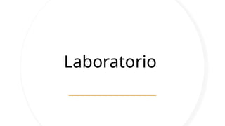 Laboratorio
 