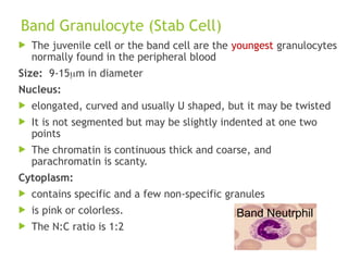 1. Composition, Formation and Function of Blood.ppt