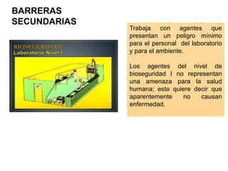 BARRERAS
SECUNDARIAS
Trabaja con agentes que
presentan un peligro mínimo
para el personal del laboratorio
y para el ambiente.
Los agentes del nivel de
bioseguridad I no representan
una amenaza para la salud
humana; esto quiere decir que
aparentemente no causan
enfermedad.
 
