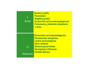 Bacillus subtilis.
Plasmodium.
Naegleria gruberi
Escherichia coli (no enteropatogénica)
Protozoarios y helmintos intestinales
y otros
I
Leve
Escherichia coli (enteropatógenas).
Pseudomonas aeruginosa.
Listeria monocytogenes.
Vibrio cholerae.
Neisseria gonorroheae.
Haemophylus influenzae.
Cándida albicans.
II
Moderado
 