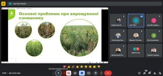 Відкрита лекція на тему «Система захисту соняшника від шкідливих організмів препаратами ТОВ «Адама Україна»»2