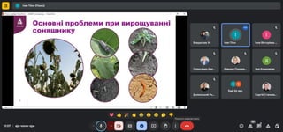 Відкрита лекція на тему «Система захисту соняшника від шкідливих організмів препаратами ТОВ «Адама Україна»»2