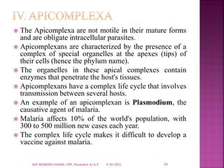 1.2. Protozoa.pdf about protozoa their character | PDF
