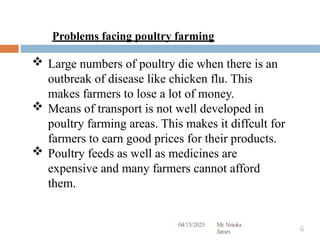 Poultry Management Problem 1. Poultry production..pptxAgriculture notes on poultry production for ...