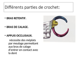 Différents parties de crochet:
• BRAS RETENTIF.
• BRAS DE CALAGE.
• APPUIS OCCLUSAUX.
nécessite des méplats
par meulage permettant
aux bras de calage
d’entrer en contact avec
la dent
 