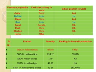 Quantities Ranking 1. breeds of cattle.ppt.ppt