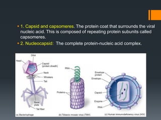 1.Introduction and General Characters of viruses.pdf