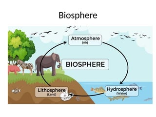Biosphere
 