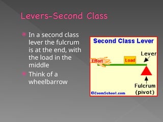  In a second class
lever the fulcrum
is at the end, with
the load in the
middle
 Think of a
wheelbarrow
 