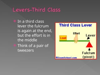  In a third class
lever the fulcrum
is again at the end,
but the effort is in
the middle
 Think of a pair of
tweezers
 