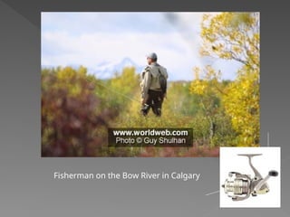 Fisherman on the Bow River in Calgary
 