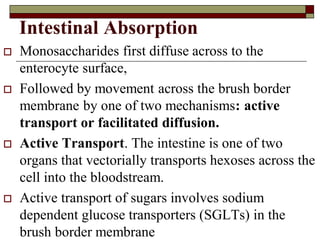 1. Introduction to human nutrition.pdf about MAM SAM | PDF