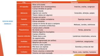1. TAXONOMÍA Y NOMBRE CIENTÍFICO (1).pptx
