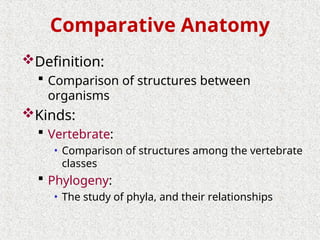 1. INTRODUCTION TO ANATOMY. POWER POINT SLIDE NWU | PPT