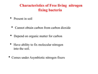 Role of free living Nitrogen fixers power point presentation | PPT