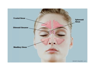 1. Anatomy _ Physiology of the Nose and Paranasal Sinuses .ppt
