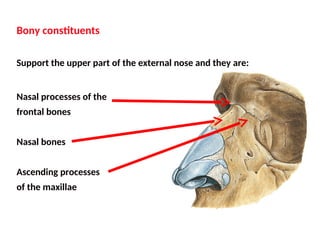 1. Anatomy _ Physiology of the Nose and Paranasal Sinuses .ppt