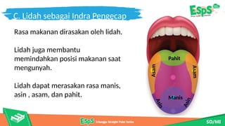 1. PPT IPAS 3 Pancaindra [modulguruku.com].pptx