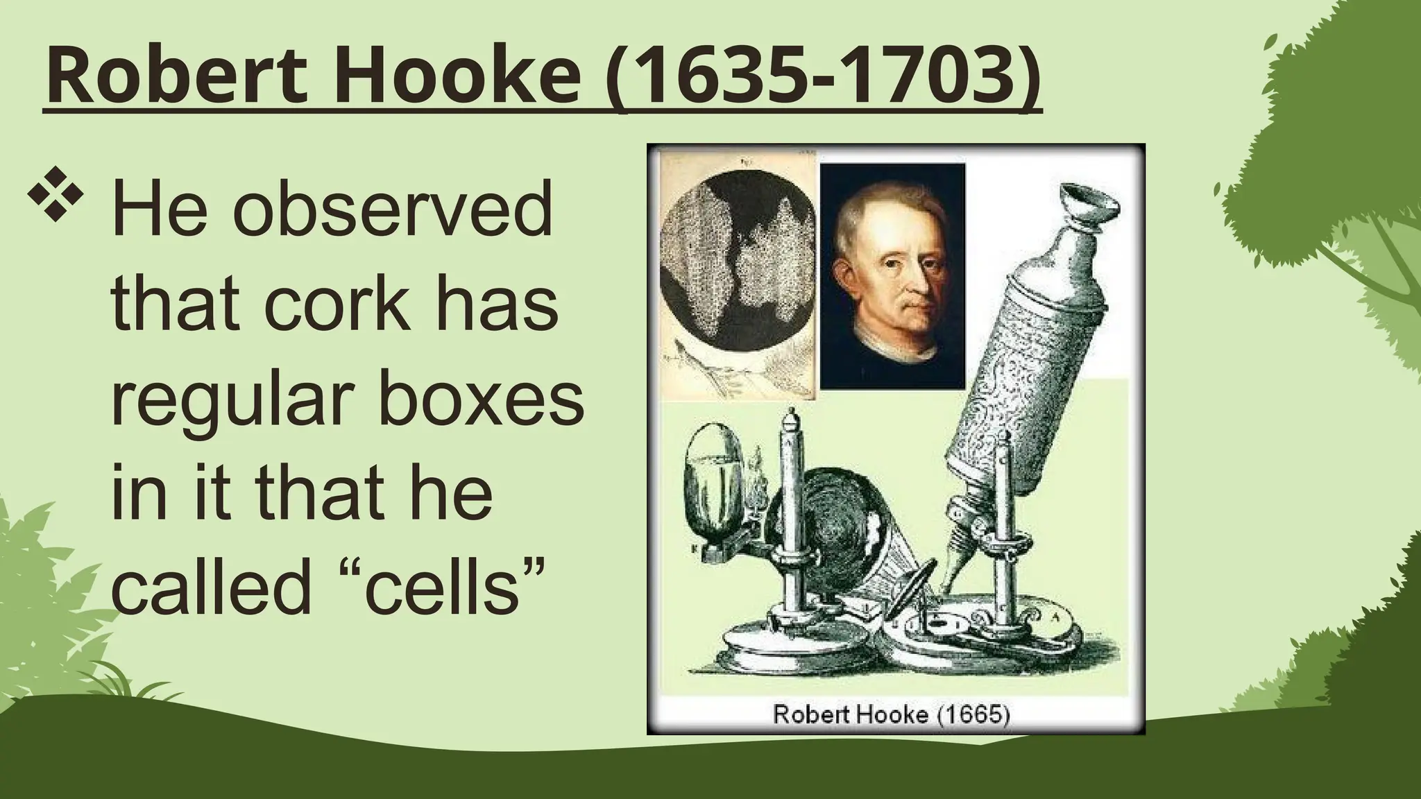 Robert Hooke (1635-1703)
 He observed
that cork has
regular boxes
in it that he
called “cells”
 