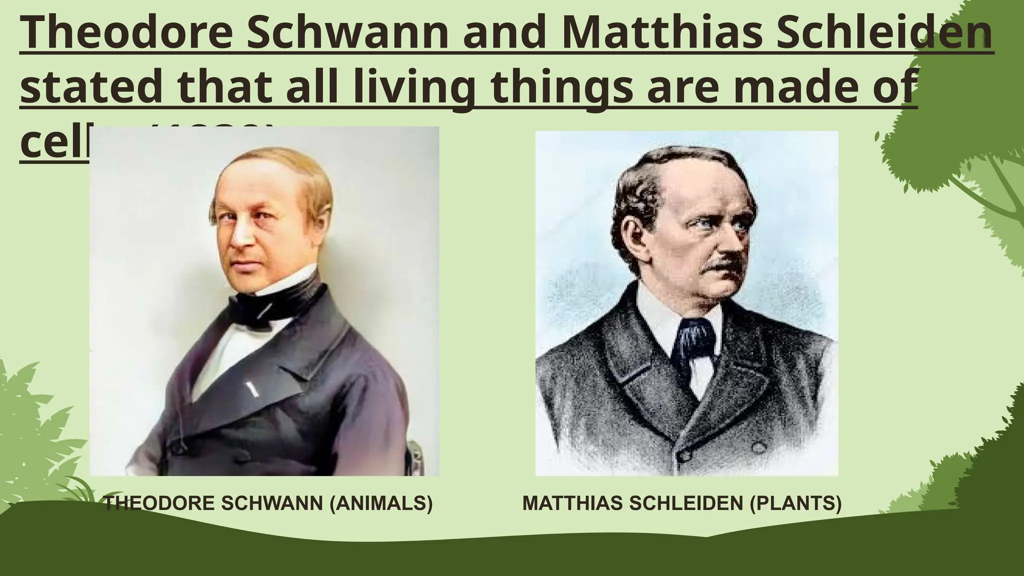Theodore Schwann and Matthias Schleiden
stated that all living things are made of
cells. (1839)
THEODORE SCHWANN (ANIMALS) MATTHIAS SCHLEIDEN (PLANTS)
 