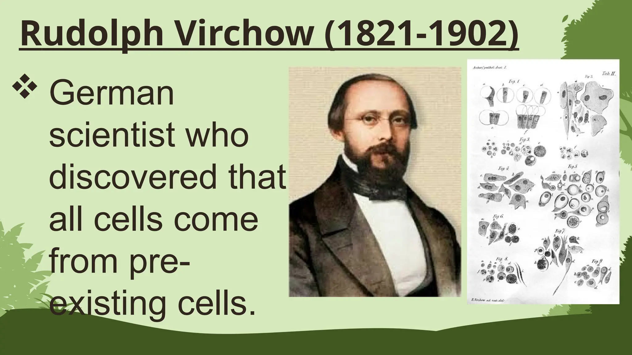 Rudolph Virchow (1821-1902)
 German
scientist who
discovered that
all cells come
from pre-
existing cells.
 