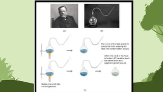 GENERAL BIOLOGY 1QUARTER 1 MODULE 1 CELL THEORY PPT | PPTX