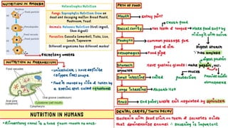 Life Processes | Life Process class 10th class | | PDF