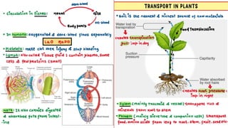 Life Processes | Life Process class 10th class | | PDF