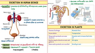 Life Processes | Life Process class 10th class | | PDF