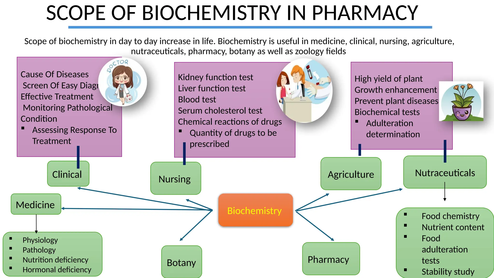 SCOPE OF BIOCHEMISTRY IN PHARMACY
Scope of biochemistry in day to day increase in life. Biochemistry is useful in medicine, clinical, nursing, agriculture,
nutraceuticals, pharmacy, botany as well as zoology fields
Cause Of Diseases
Screen Of Easy Diagnosis
Effective Treatment
Monitoring Pathological
Condition
 Assessing Response To
Treatment
Kidney function test
Liver function test
Blood test
Serum cholesterol test
Chemical reactions of drugs
 Quantity of drugs to be
prescribed
High yield of plant
Growth enhancement
Prevent plant diseases
Biochemical tests
 Adulteration
determination
Clinical Agriculture
Nursing
Nutraceuticals
 Food chemistry
 Nutrient content
 Food
adulteration
tests
 Stability study
 Physiology
 Pathology
 Nutrition deficiency
 Hormonal deficiency
Botany
Medicine
Pharmacy
Biochemistry
 