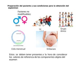 Ciclo menstrual Embarazo
Estos se deben tener presentes a la hora de considerar
los valores de referencia de los componentes objeto del
examen
Preparación del paciente y sus condiciones para la obtención del
espécimen
Factores no
modificables:
Sexo
La
edad
Grupo
étnico
 