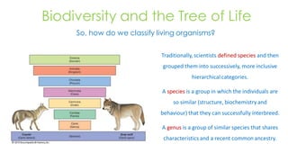 1.2_Classification of Life.pdf, biological sciences | PDF