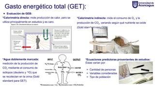Formula Get 1. Gasto energético y requerimientos nutricionales .pptx