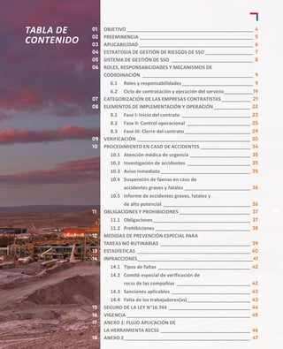 1. Reglamento RECSS 3.0 mlp mlp mlp mlp mlp mlp.pdf