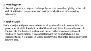2. Peptidoglycan
 Peptidoglycan is a polysaccharide polymer that provides rigidity to the cell
wall. It activates complement and evokes production of inflammatory
cytokines.
3. Teichoic Acid
It is a major antigenic determinant of all strains of Staph. aureus. It is the
group specific ribitol teichoic acid of the cell wall. It facilitates adhesion of
the cocci to the host cell surface and protects them from complement
medicated opsonisation. It is associated with the peptidoglycan in an
insoluble form. It is absent in Staph. epidermidis. The latter contains glycerol
teichoic acid.
 