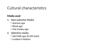 Cultural characteristics
Media used
1. Non-selective Media
• Nutrient agar
• Blood agar
• Mac Conkey agar
2. Selective media
• SALT-Milk agar (8-10% NaCl)
• Lundlam’s Medium
 