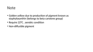 Note
• Golden yellow due to production of pigment known as
staphyloxanthin (belongs to beta carotene group)
• Require 22°C , aerobic condition
• Non-diffusible pigment
 