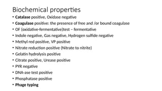 Biochemical properties
• Catalase positive, Oxidase negative
• Coagulase positive: the presence of free and /or bound coagulase
• OF (oxidative-fermentative)test – fermentative
• Indole negative, Gas negative, Hydrogen sulfide negative
• Methyl red positive, VP positive
• Nitrate reduction positive (Nitrate to nitrite)
• Gelatin hydrolysis positive
• Citrate positive, Urease positive
• PYR negative
• DNA-ase test positive
• Phosphatase positive
• Phage typing
 