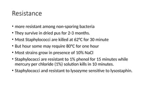 Resistance
• more resistant among non-sporing bacteria
• They survive in dried pus for 2-3 months.
• Most Staphylococci are killed at 62°C for 30 minute
• But hour some may require 80°C for one hour
• Most strains grow in presence of 10% NaCl
• Staphylococci are resistant to 1% phenol for 15 minutes while
mercury per chloride (1%) solution kills in 10 minutes.
• Staphylococci and resistant to lysozyme sensitive to lysostaphin.
 