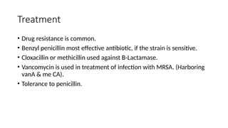 Treatment
• Drug resistance is common.
• Benzyl penicillin most effective antibiotic, if the strain is sensitive.
• Cloxacillin or methicillin used against B-Lactamase.
• Vancomycin is used in treatment of infection with MRSA. (Harboring
vanA & me CA).
• Tolerance to penicillin.
 