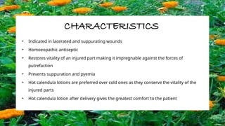 CHARACTERISTICS
• Indicated in lacerated and suppurating wounds
• Homoeopathic antiseptic
• Restores vitality of an injured part making it impregnable against the forces of
putrefaction
• Prevents suppuration and pyemia
• Hot calendula lotions are preferred over cold ones as they conserve the vitality of the
injured parts
• Hot calendula lotion after delivery gives the greatest comfort to the patient
 
