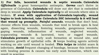 1) For falls, lacerated wounds & septic wounds. Calendula
Officinalis is great homeopathic antiseptic. Germs can’t thrive in
presence of Calendula. Calendula will draw out dirt that is embedded
deep in wound. Apply Calendula topically to all wounds where skin is
broken. If even with application of Calendula topically, wound
begins to look infected, take Calendula 30C internally & it will heal
that wound up promptly. Painful wounds, wounds that don’t heal,
chronic effects from wounds, wounds that tend to break open & heal
again, dissecting wounds, festering wounds, gangrenous wounds,
gaping wounds, inflammation of wounds, neglected wounds,
suppurating wounds & lacerated, torn or ragged wounds.
Calendula prevents too early scab formation at wound site, and
stimulates growth of epithelial cells. It keeps healing agents actively
working on site until wound is healed. This helps to inhibit scars &
infections. Avoid frequent changing of bandage, because this interferes
with healing process & causes too early scab formation, which can
 