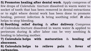 5) Promotes healing after dental work. Apply compress of
few drops of Calendula tincture dissolved in warm water to
socket of tooth that has been removed in dental extractions
or to sight where dental work has been done to promote
healing, prevent infection & bring soothing relief. It also
helps to stop bleeding.
6) Soothing relief during & after delivery. Compress
of Calendula tincture dissolved in warm water & applied to
perineum during & after labor can be very soothing &
healing to laboring mother.
7) Calendula helps with maturation & healing of
abscesses.
8) Calendula helps to relieve pain & fever of
carbuncles.
 