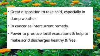 • Great disposition to take cold, especially in
damp weather.
• In cancer as intercurrent remedy.
• Power to produce local exudations & help to
make acrid discharges healthy & free.
 