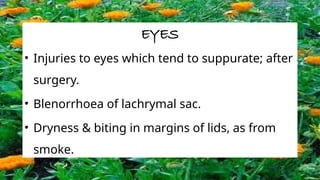EYES
• Injuries to eyes which tend to suppurate; after
surgery.
• Blenorrhoea of lachrymal sac.
• Dryness & biting in margins of lids, as from
smoke.
 